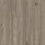 Ashen Oak